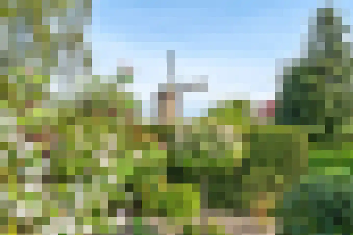 Wijbosscheweg 2 Schijndel thumbnail 45