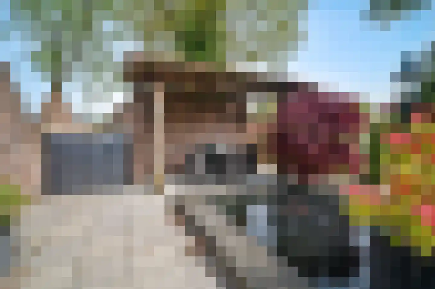 Wijbosscheweg 2 Schijndel thumbnail 46