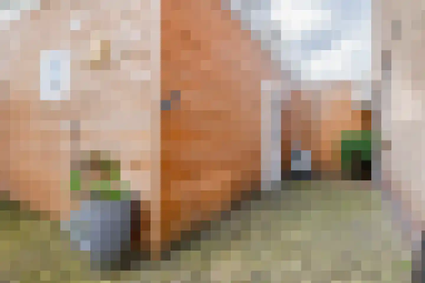 Wijbosscheweg 31 Schijndel thumbnail 26