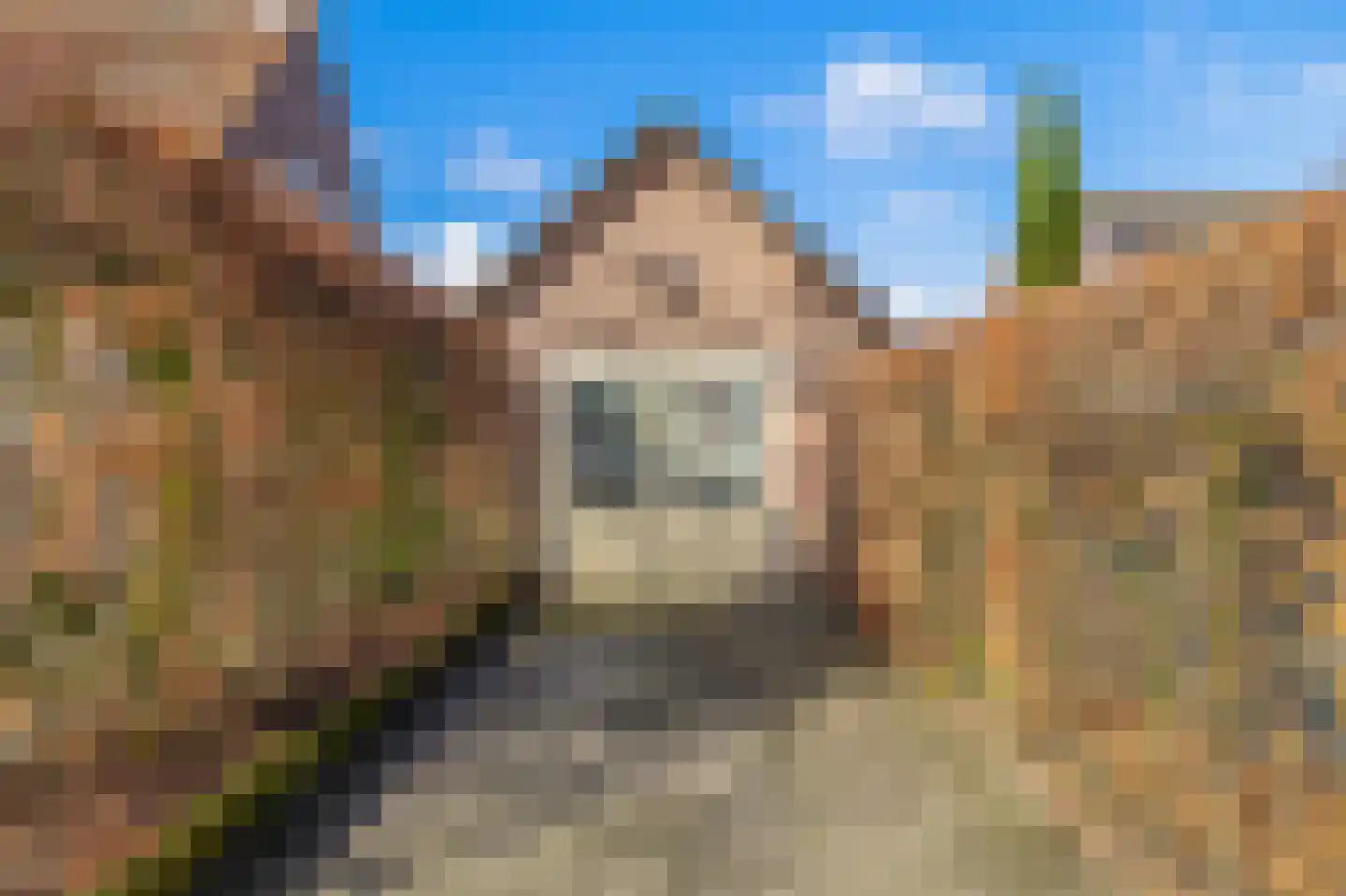 Wijbosscheweg 31 Schijndel thumbnail 28