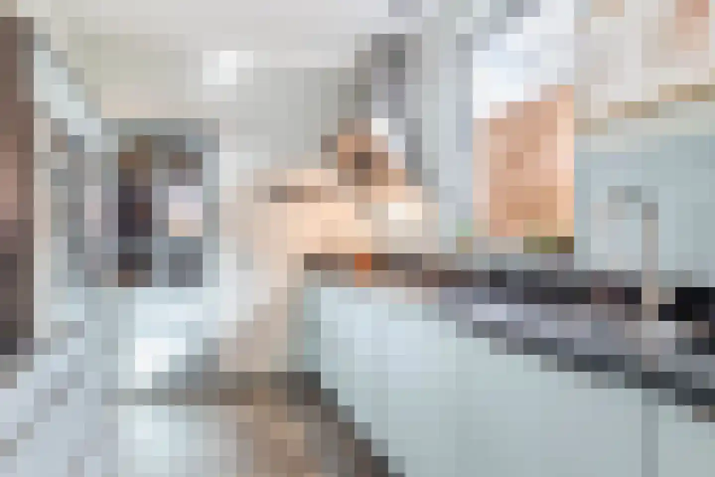 Wijbosscheweg 31 Schijndel thumbnail 7