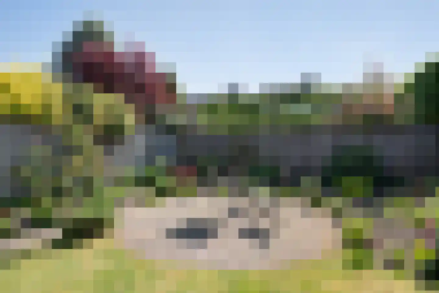 Wijbosscheweg 59 Schijndel thumbnail 30