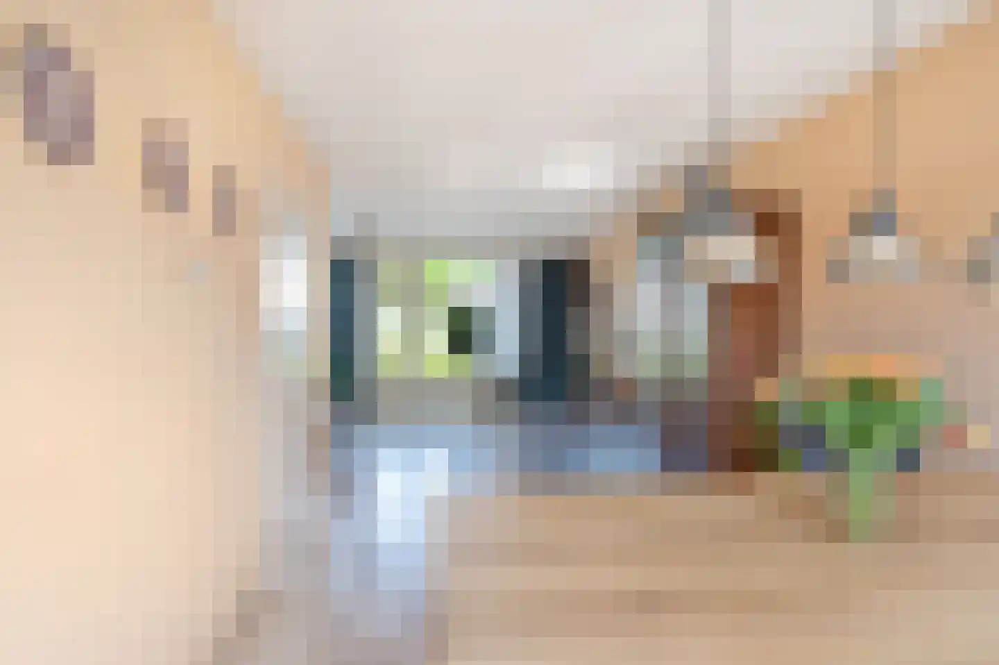 Wijbosscheweg 59 Schijndel thumbnail 5