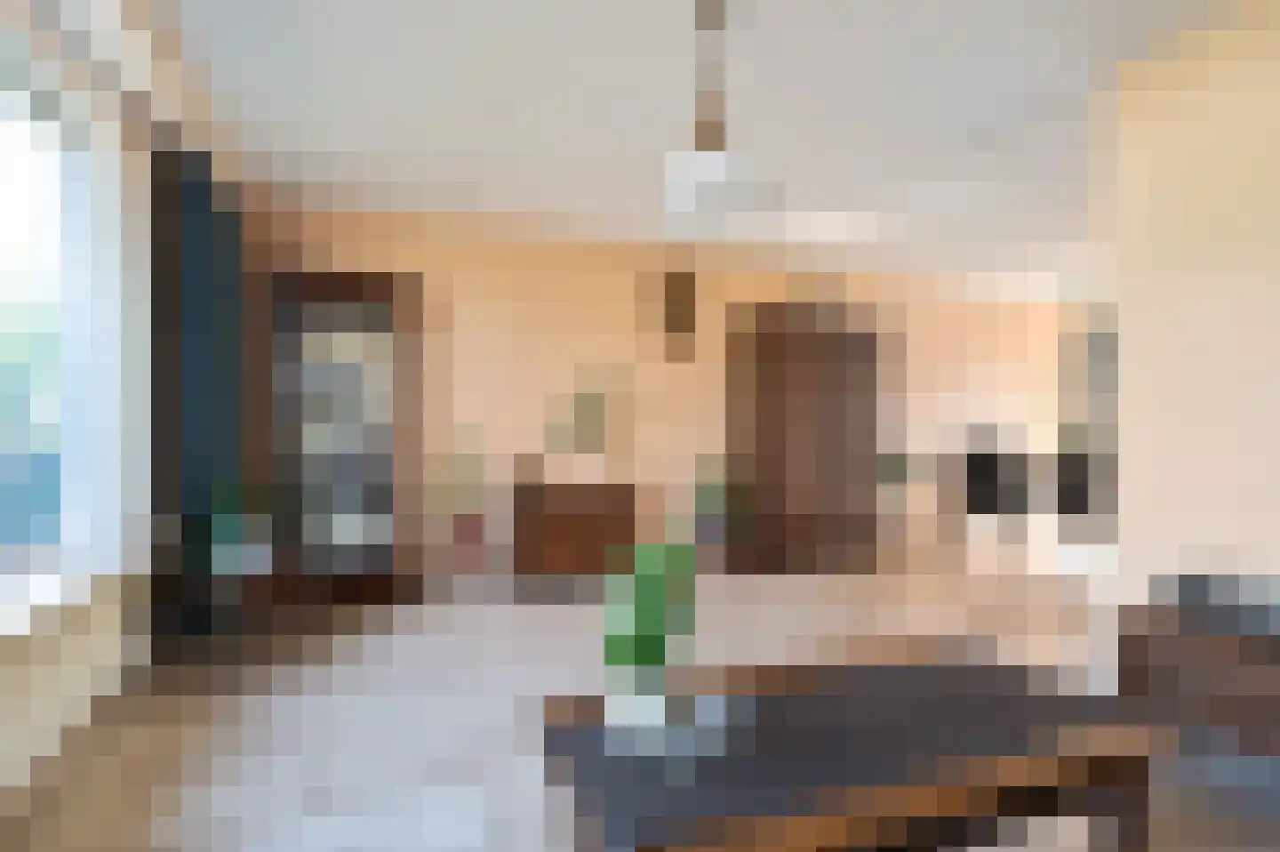Wijbosscheweg 59 Schijndel thumbnail 8