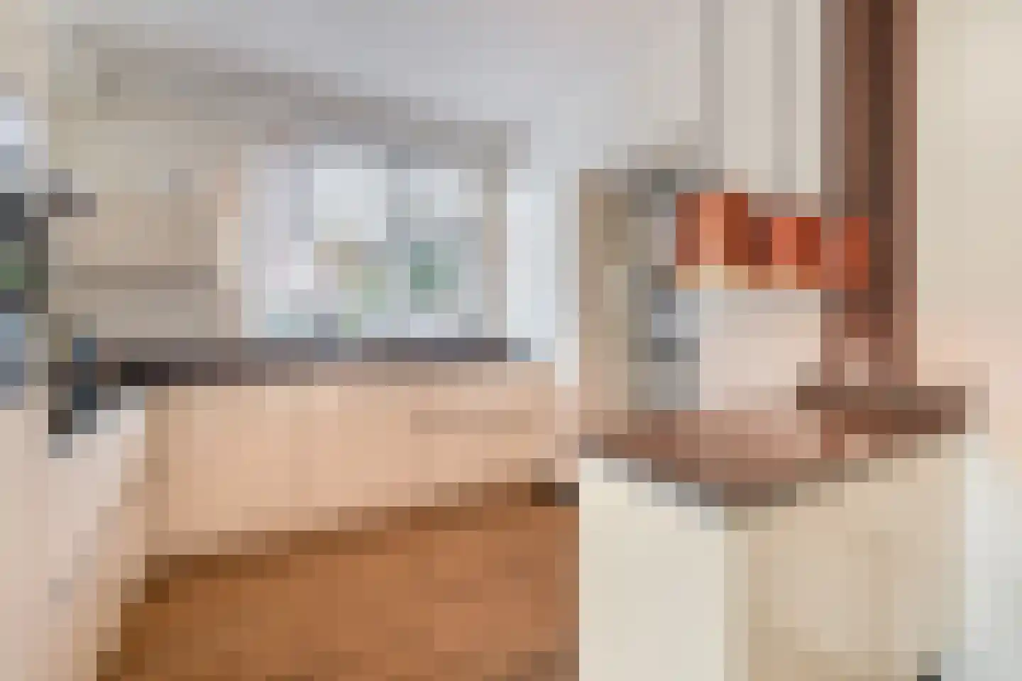 Wijbosscheweg 60 Schijndel thumbnail 10