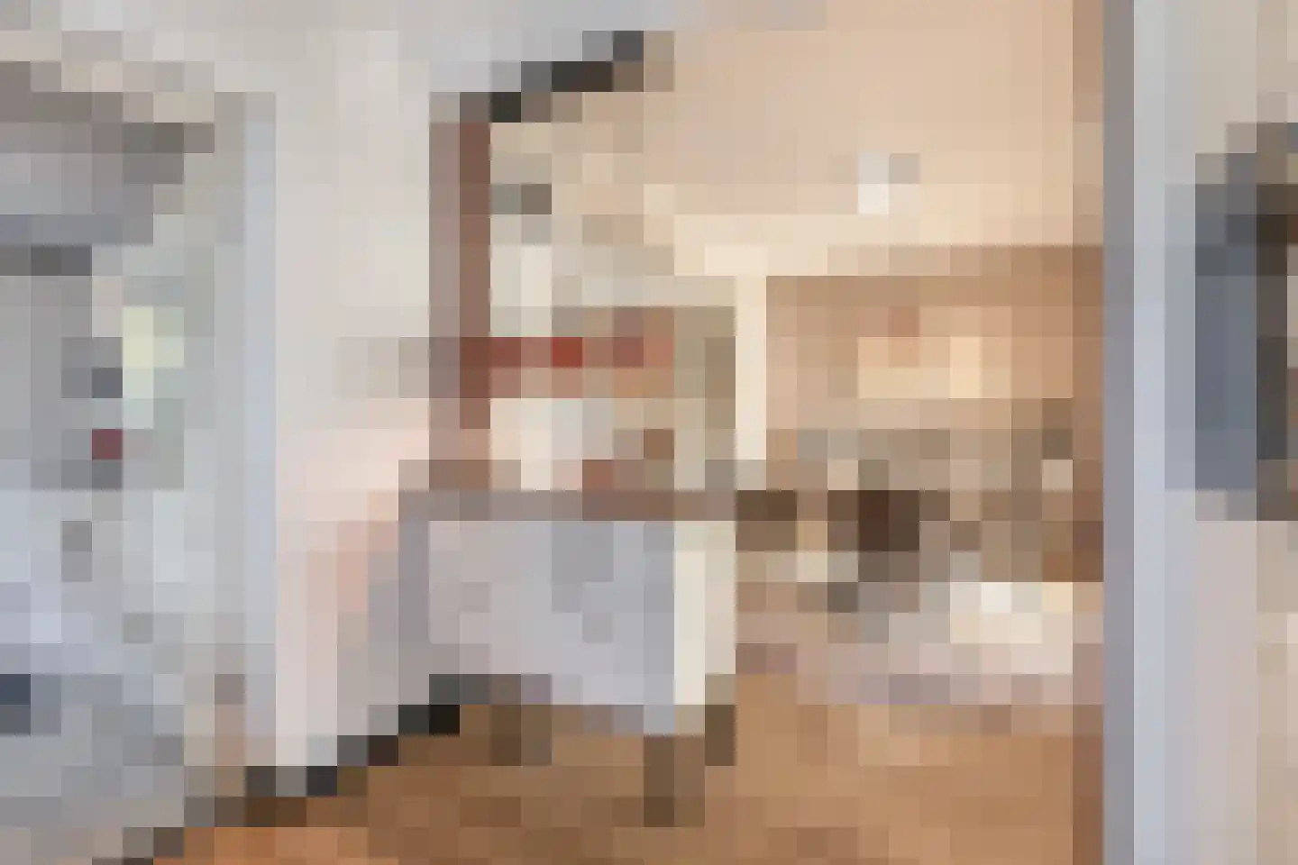 Wijbosscheweg 60 Schijndel thumbnail 11
