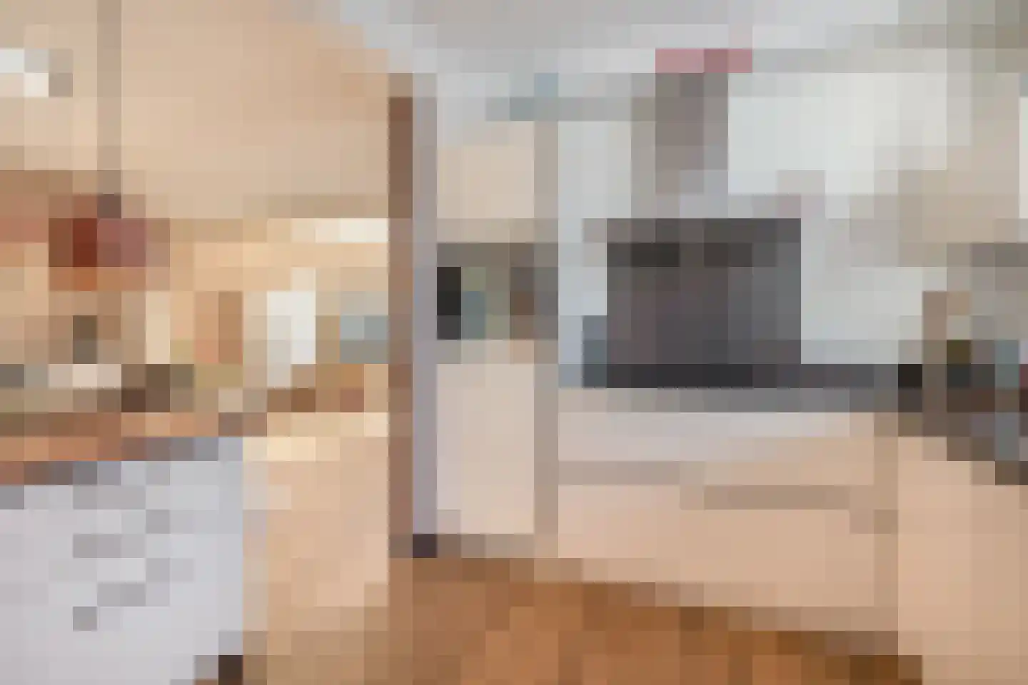 Wijbosscheweg 60 Schijndel thumbnail 12