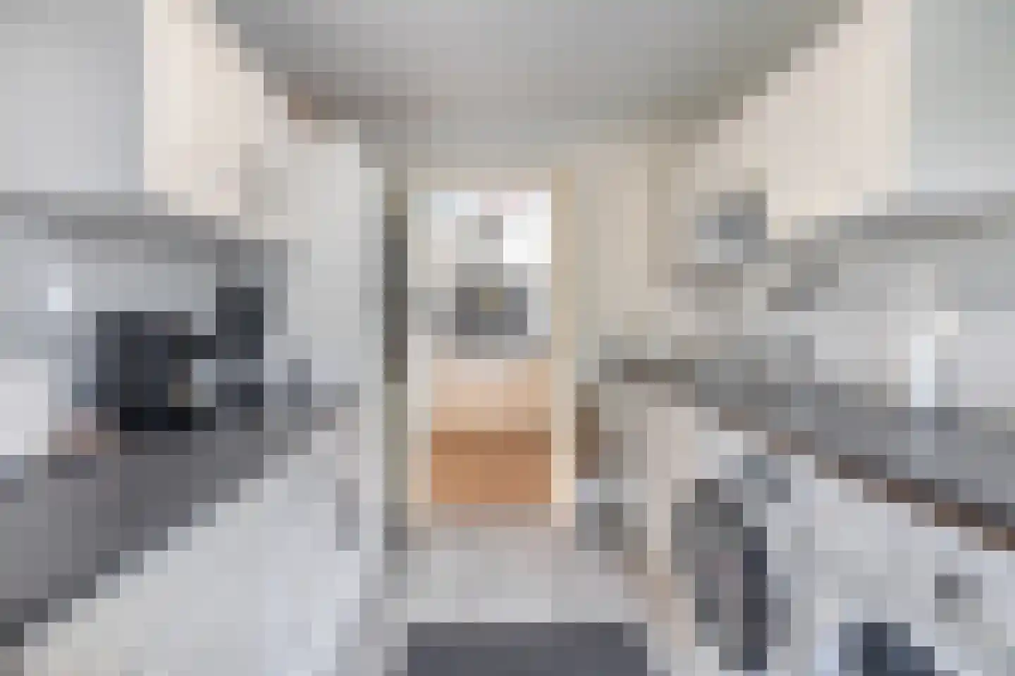 Wijbosscheweg 60 Schijndel thumbnail 16