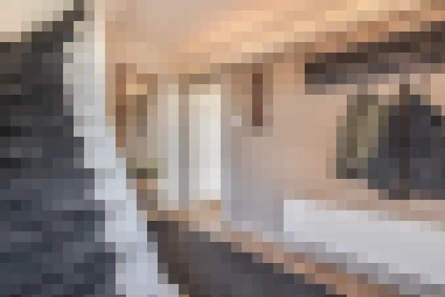 Wijbosscheweg 60 Schijndel thumbnail 17