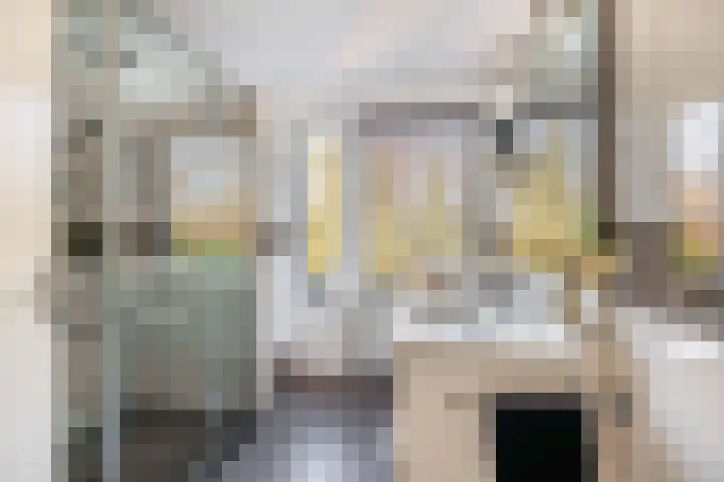 Wijbosscheweg 60 Schijndel thumbnail 24