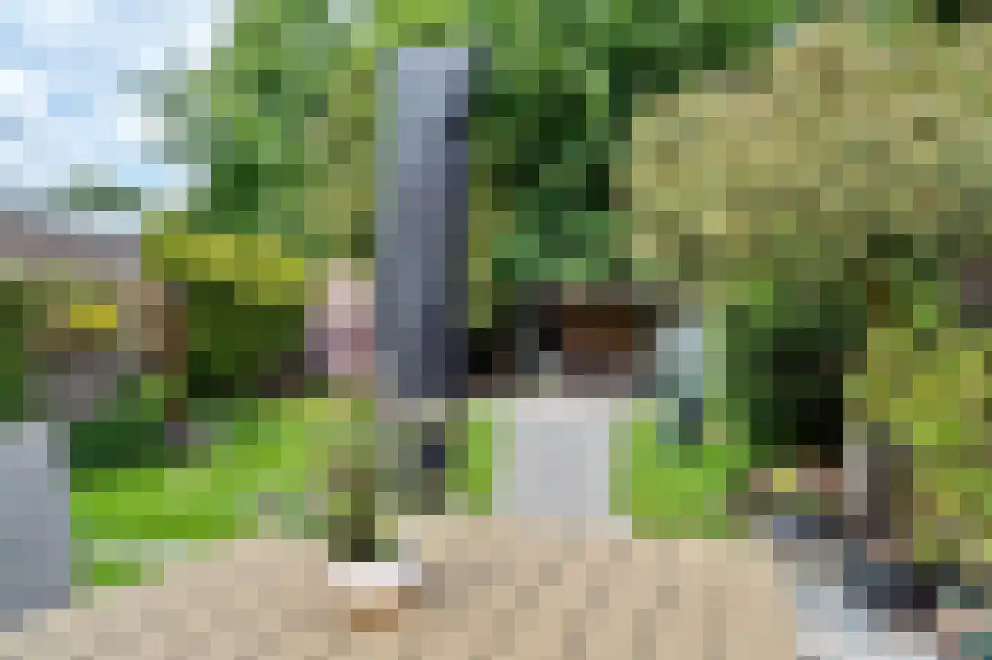 Wijbosscheweg 60 Schijndel thumbnail 28