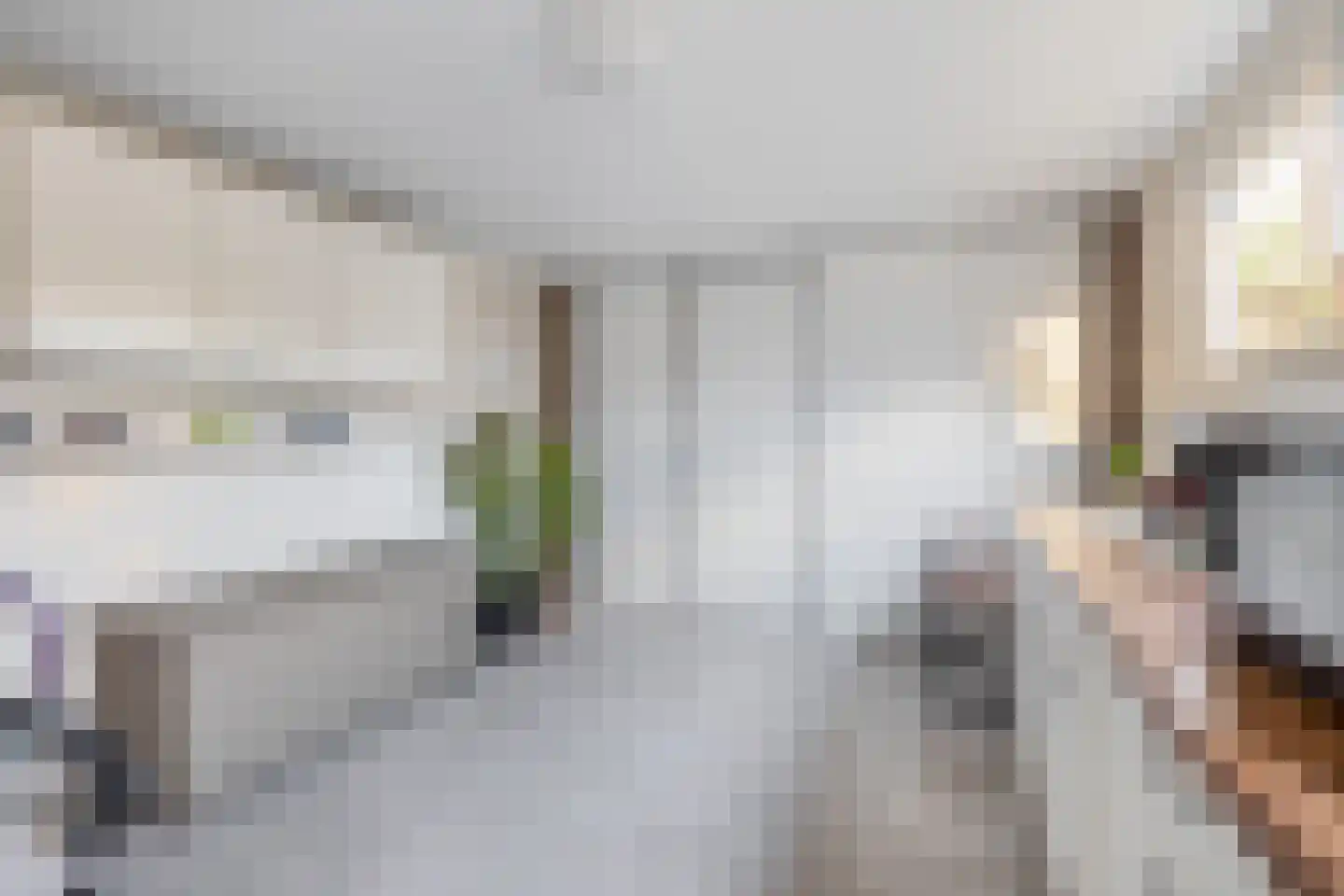 Wijbosscheweg 60 Schijndel thumbnail 31