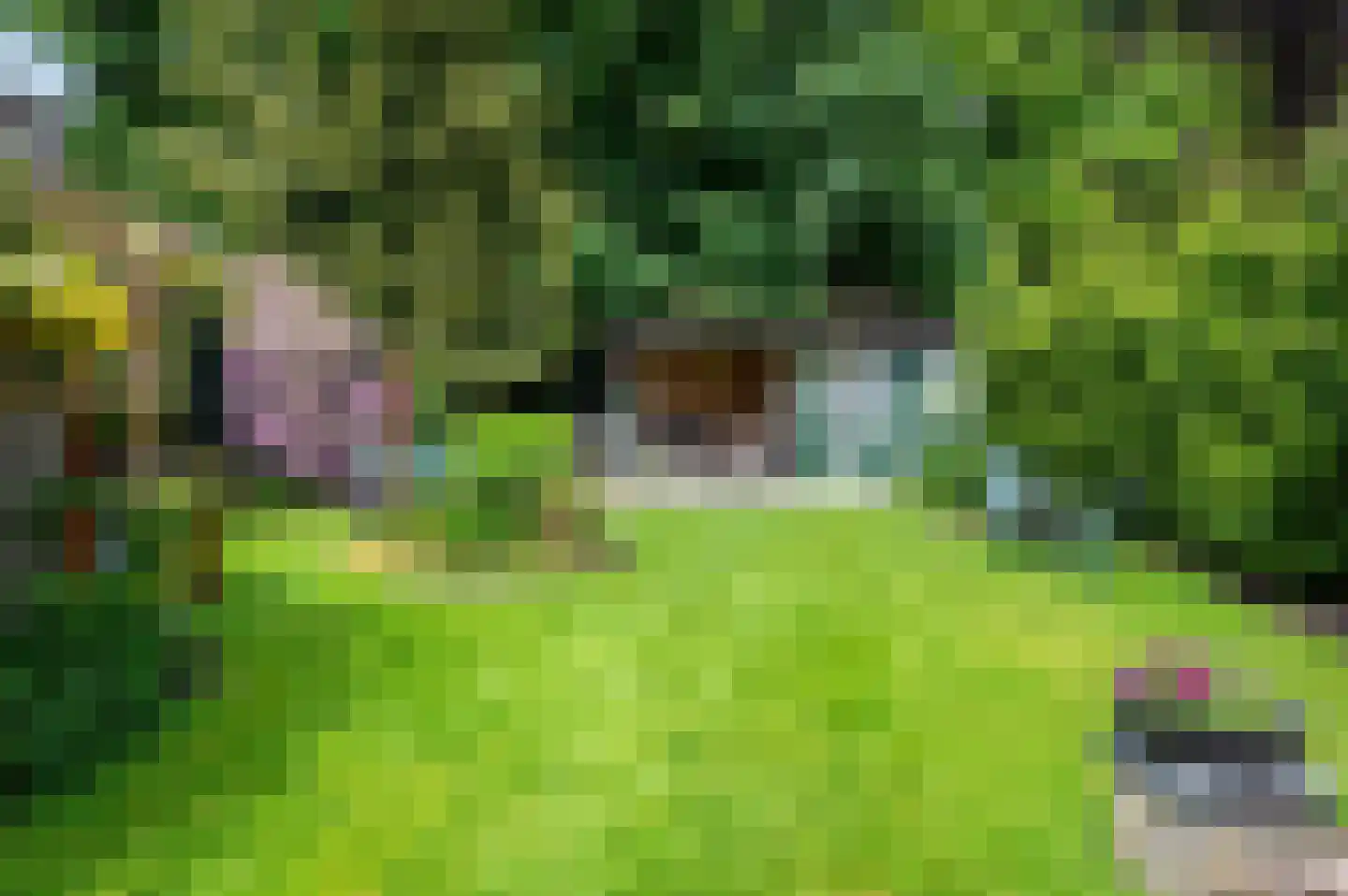 Wijbosscheweg 60 Schijndel thumbnail 4