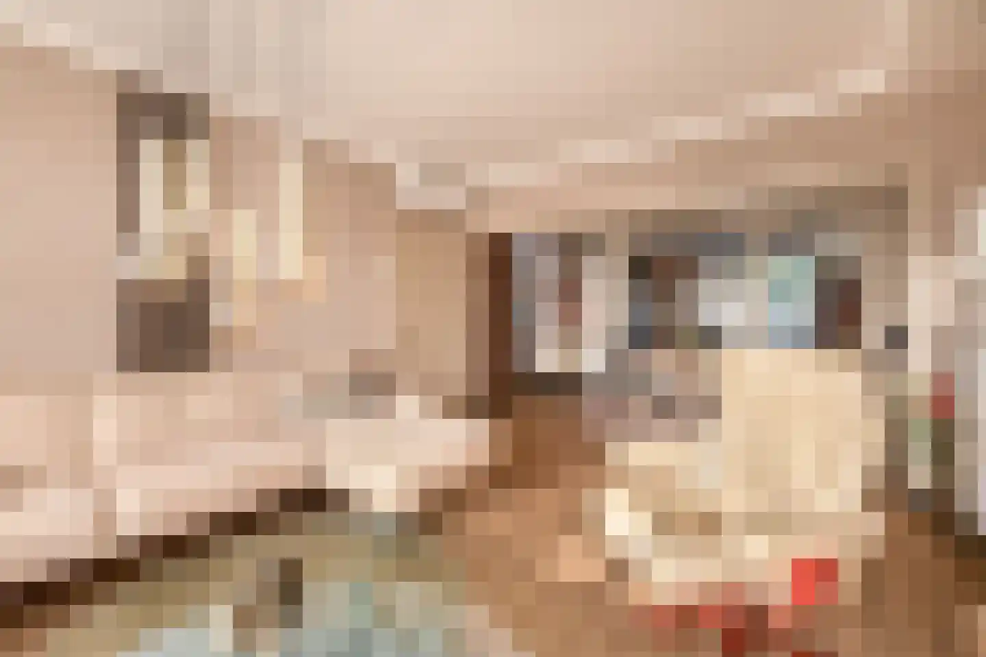 Wijbosscheweg 60 Schijndel thumbnail 6