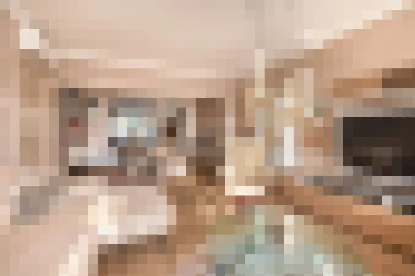 Wijbosscheweg 60 Schijndel thumbnail 7