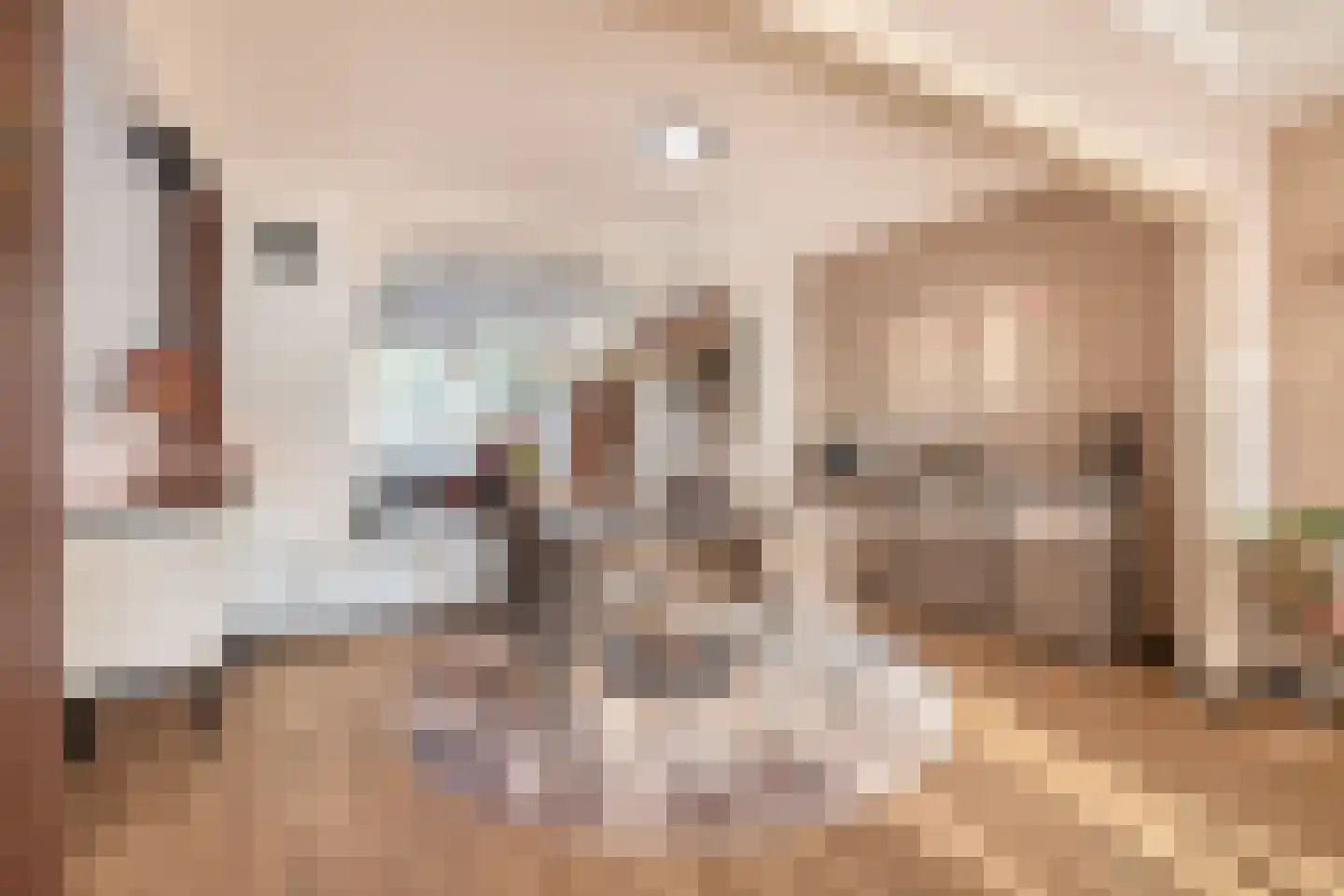 Wijbosscheweg 60 Schijndel thumbnail 8