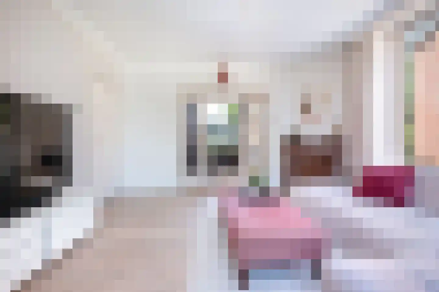 Wijbosscheweg 8 Schijndel thumbnail 10