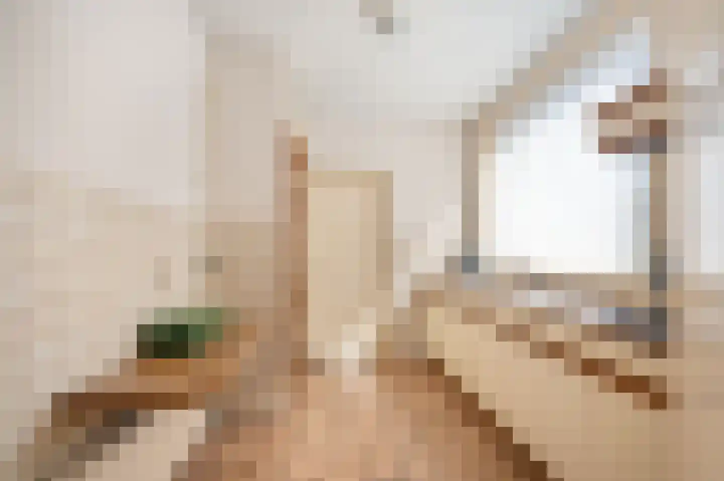 Wijbosscheweg 8 Schijndel thumbnail 11