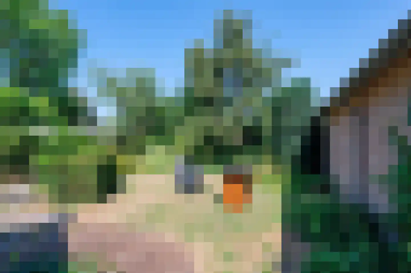Wijbosscheweg 8 Schijndel thumbnail 27