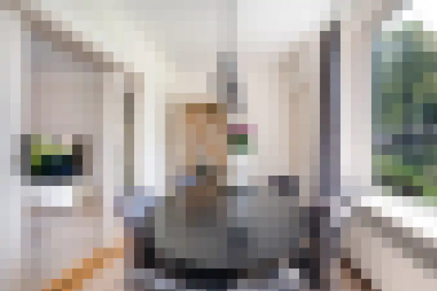 Wijbosscheweg 8 Schijndel thumbnail 6