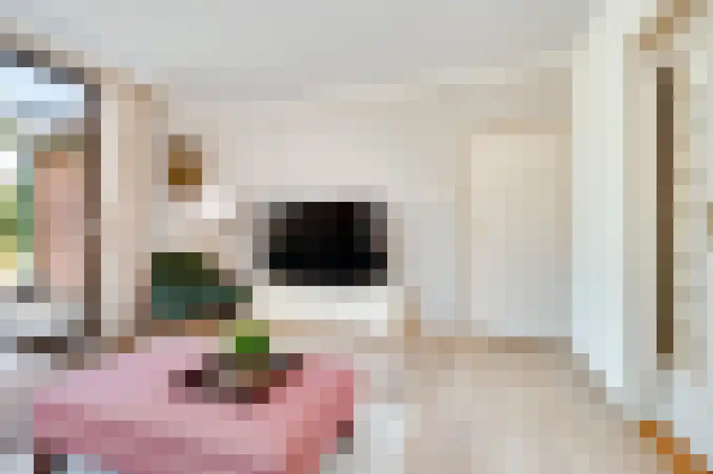 Wijbosscheweg 8 Schijndel thumbnail 9