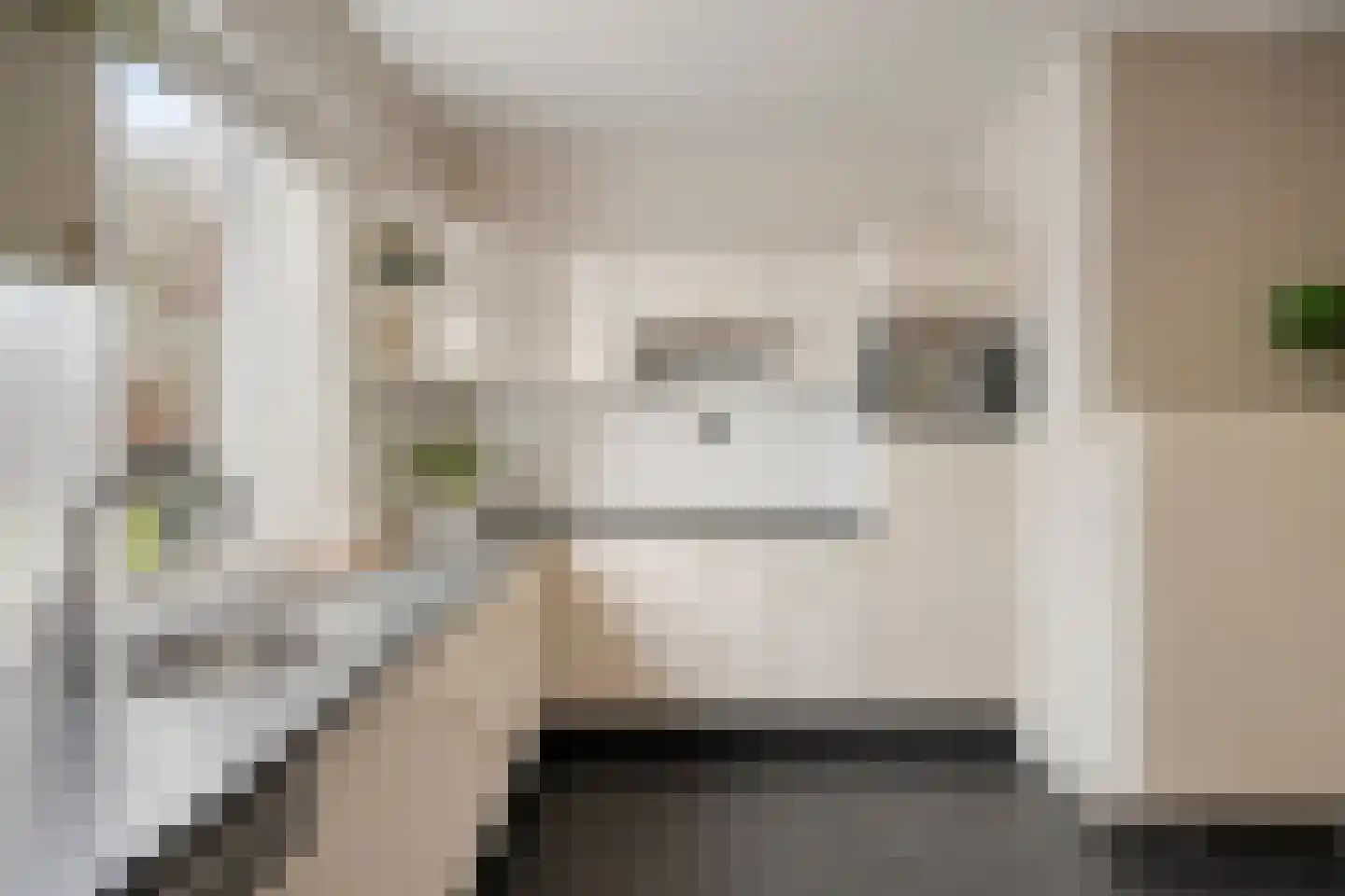 Wijbosscheweg 95 Schijndel thumbnail 10