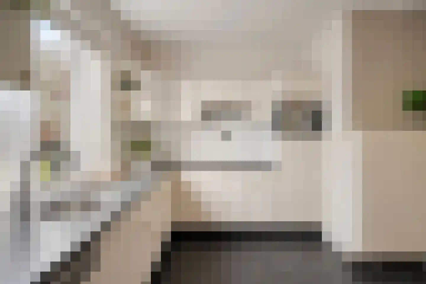 Wijbosscheweg 95 Schijndel thumbnail 16