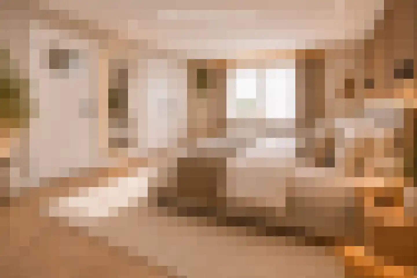 Wijbosscheweg 95 Schijndel thumbnail 30