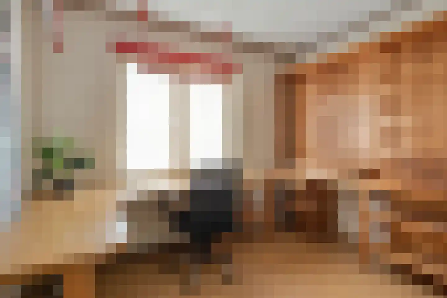 Wijbosscheweg 95 Schijndel thumbnail 30