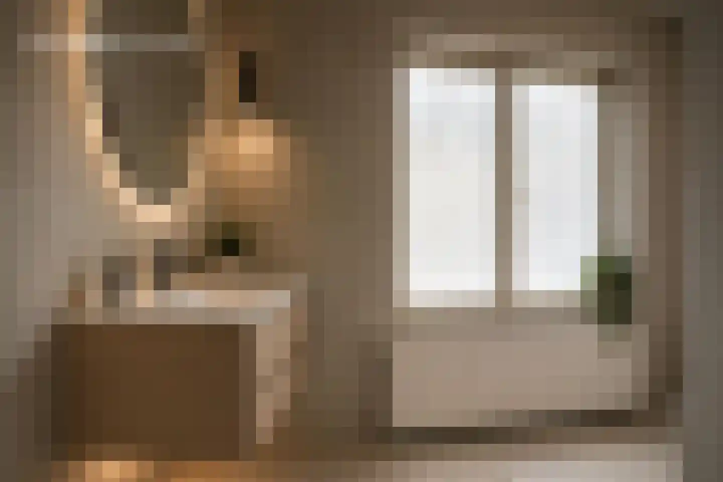 Wijbosscheweg 95 Schijndel thumbnail 34