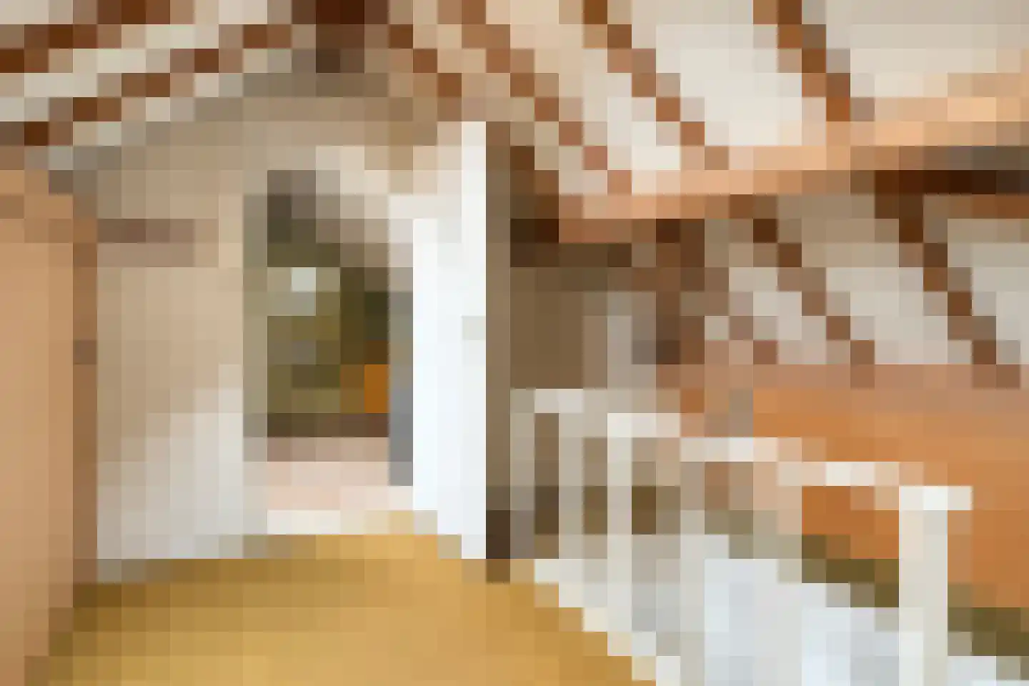 Wijbosscheweg 95 Schijndel thumbnail 34