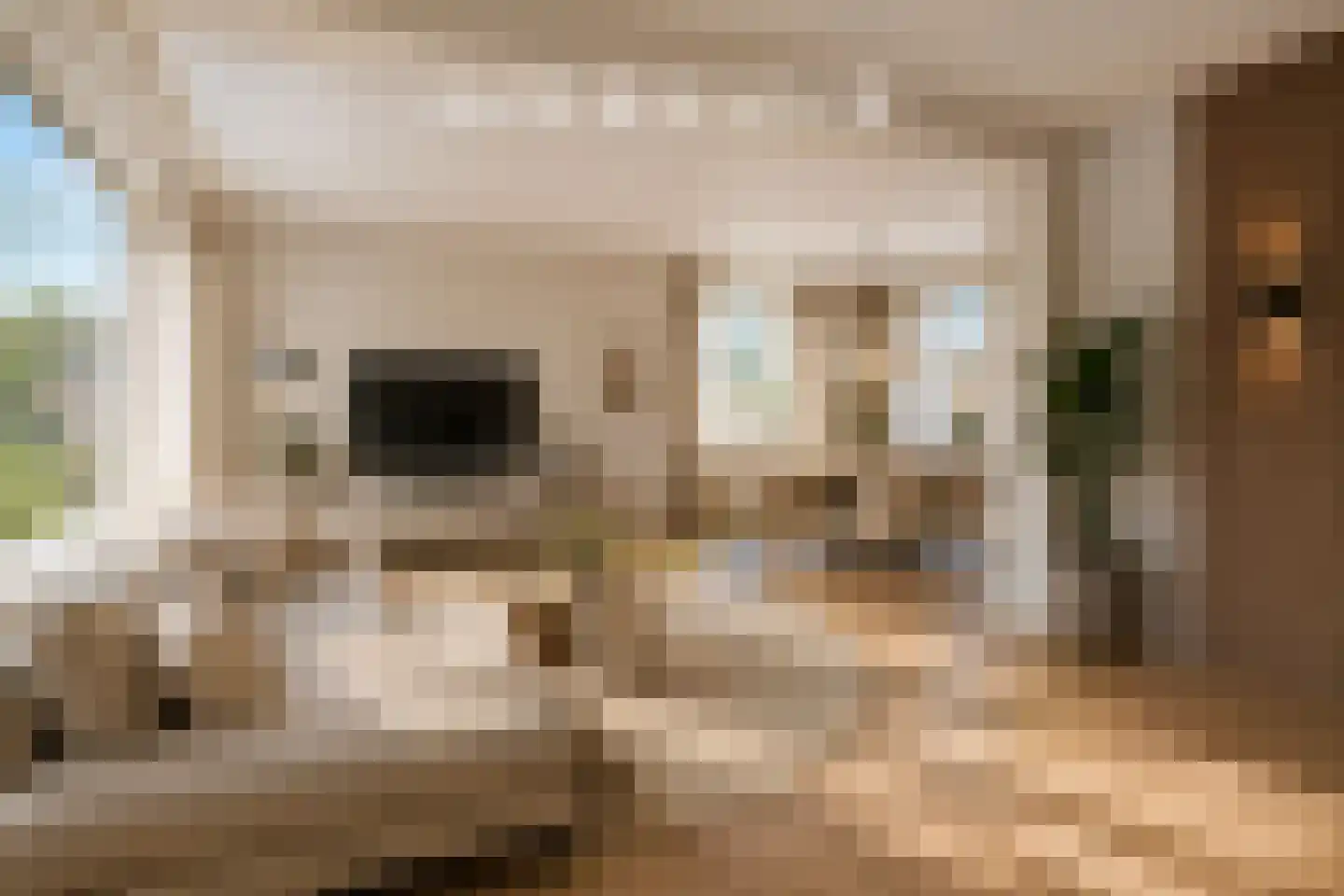 Wijbosscheweg 95 Schijndel thumbnail 4
