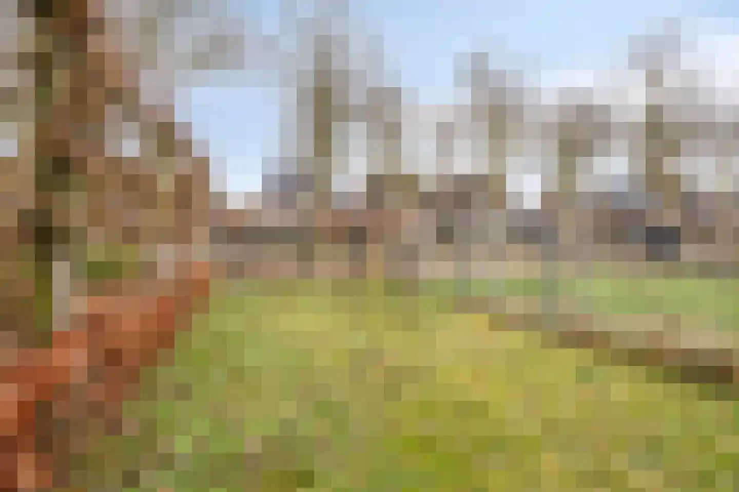 Wijbosscheweg 95 Schijndel thumbnail 46