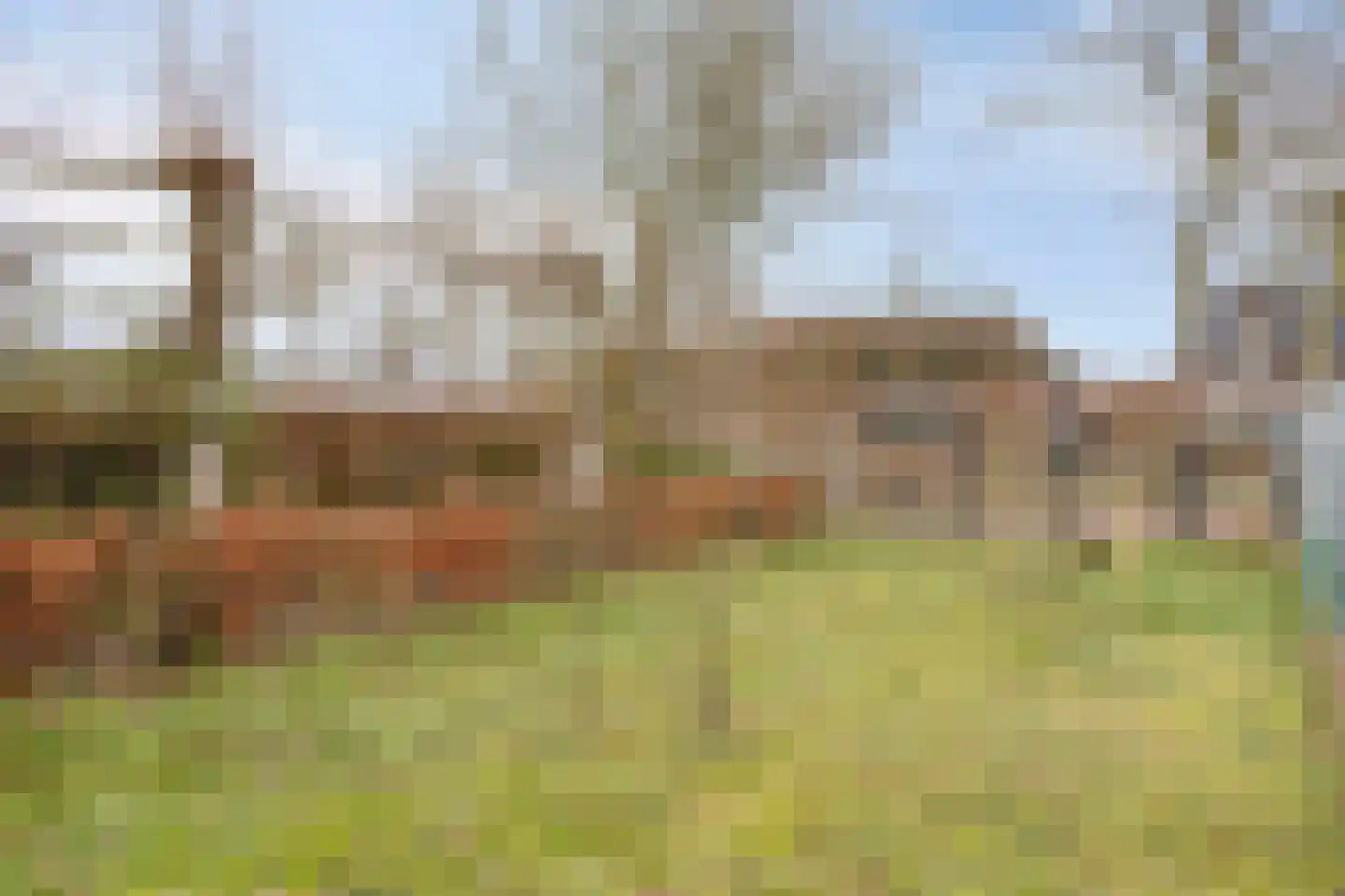 Wijbosscheweg 95 Schijndel thumbnail 47