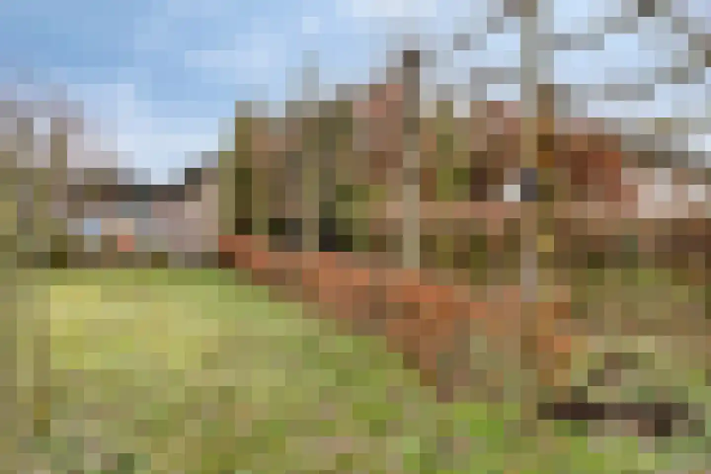 Wijbosscheweg 95 Schijndel thumbnail 48