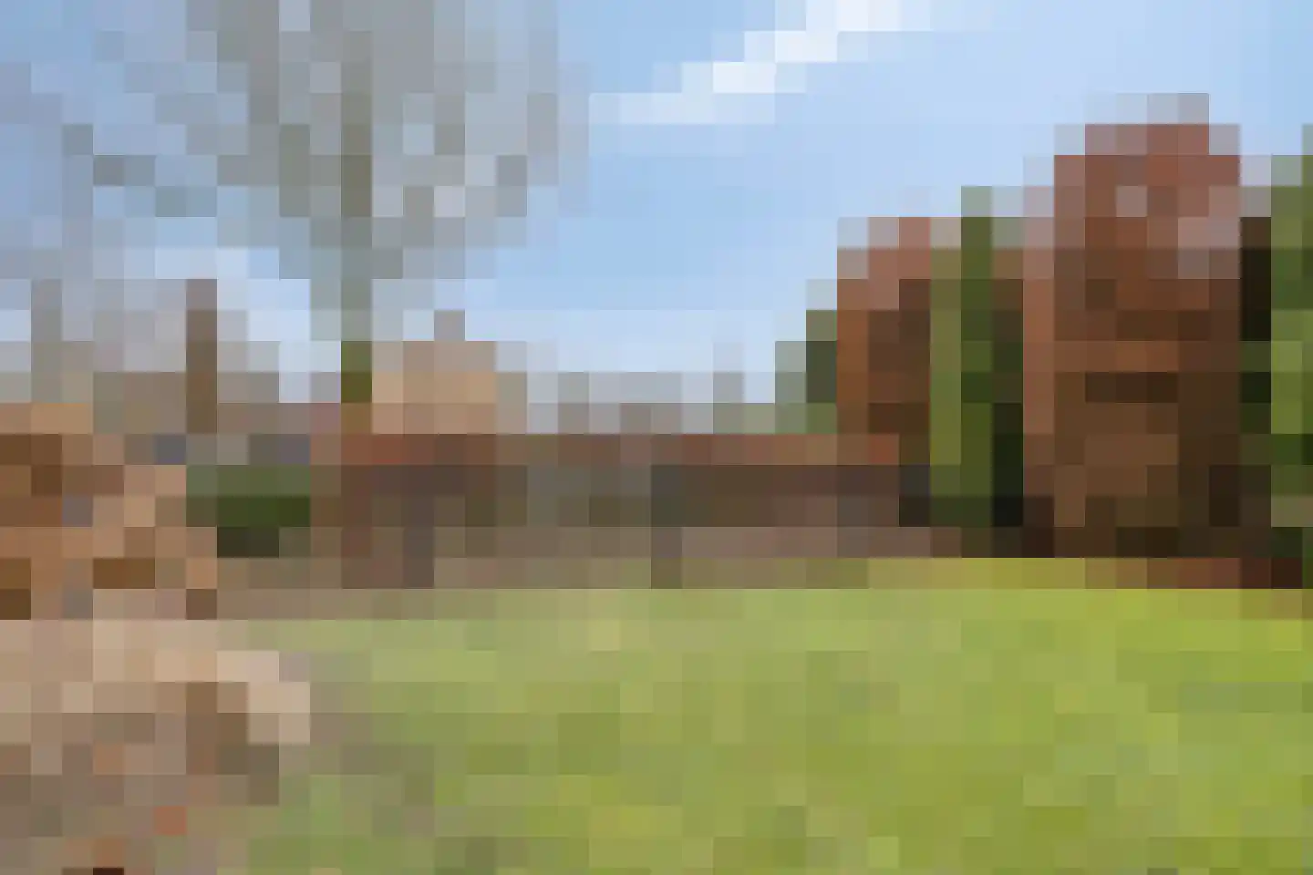 Wijbosscheweg 95 Schijndel thumbnail 49