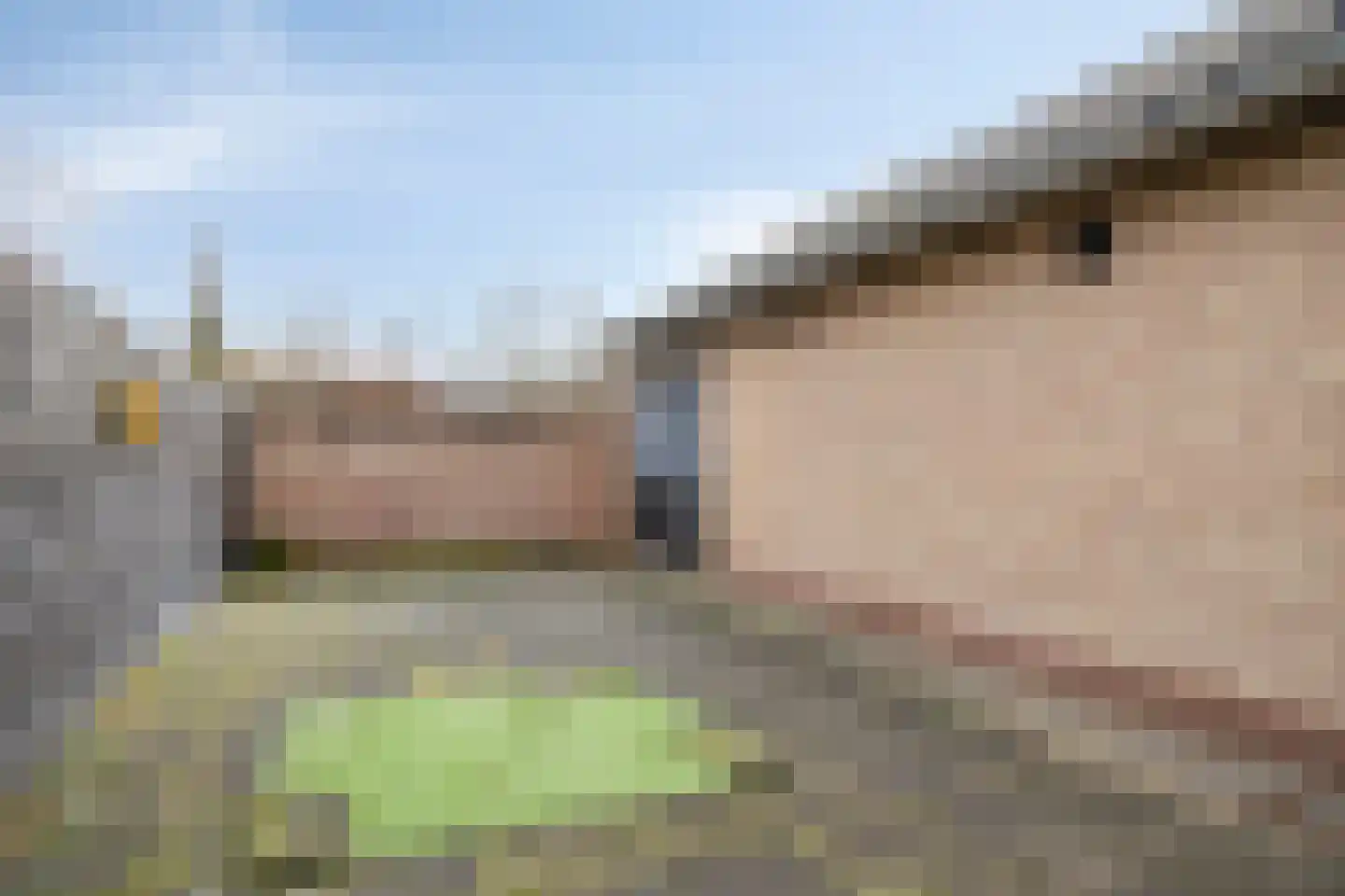 Wijbosscheweg 95 Schijndel thumbnail 50