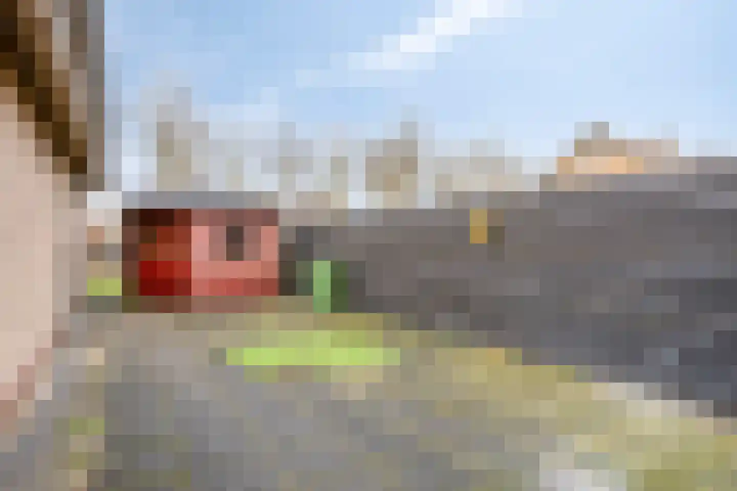 Wijbosscheweg 95 Schijndel thumbnail 51