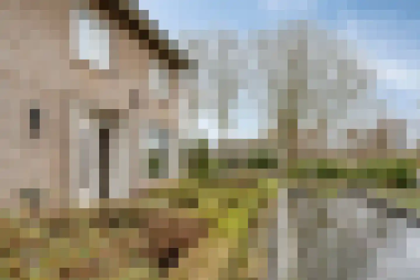 Wijbosscheweg 95 Schijndel thumbnail 52
