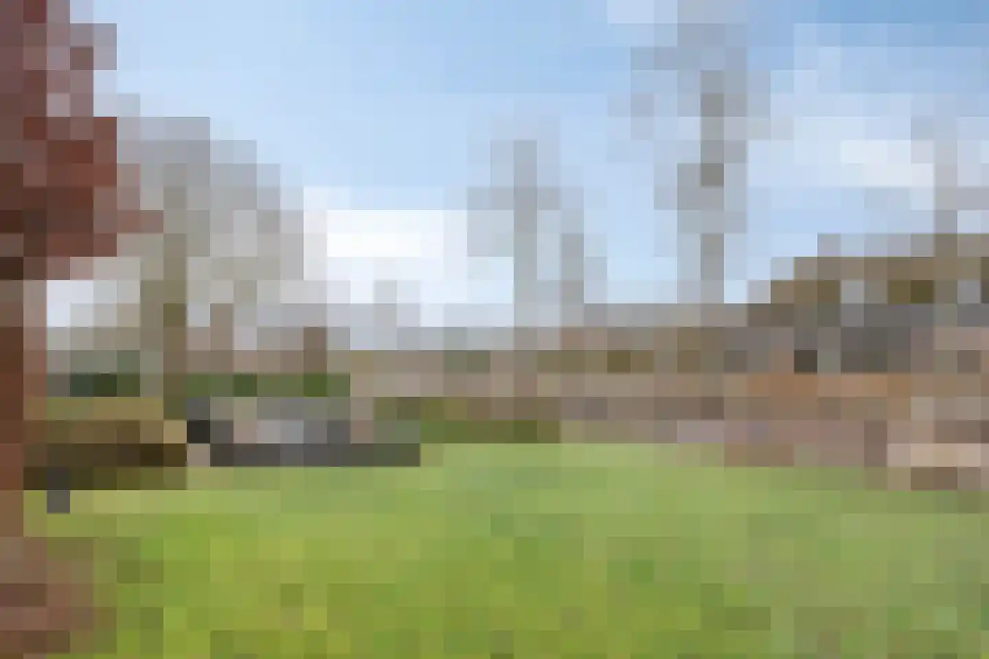 Wijbosscheweg 95 Schijndel thumbnail 54