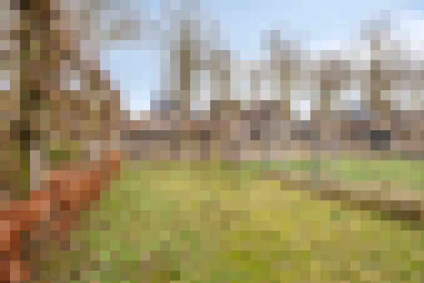 Wijbosscheweg 95 Schijndel thumbnail 56