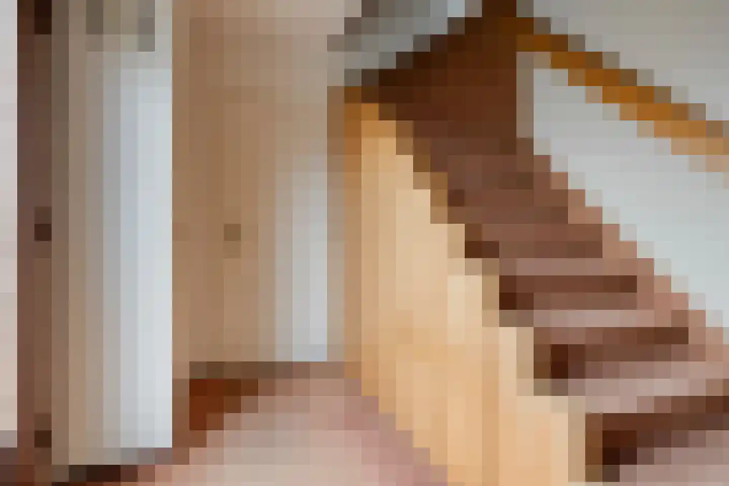 Wijbosscheweg 95 Schijndel thumbnail 8