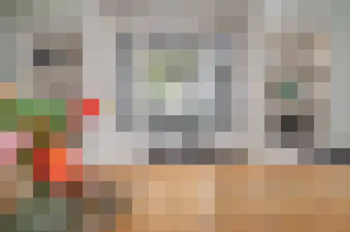 Wijbosscheweg 99 Schijndel thumbnail 11