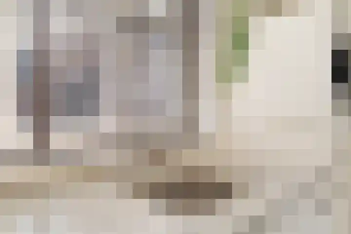 Wijbosscheweg 99 Schijndel thumbnail 16