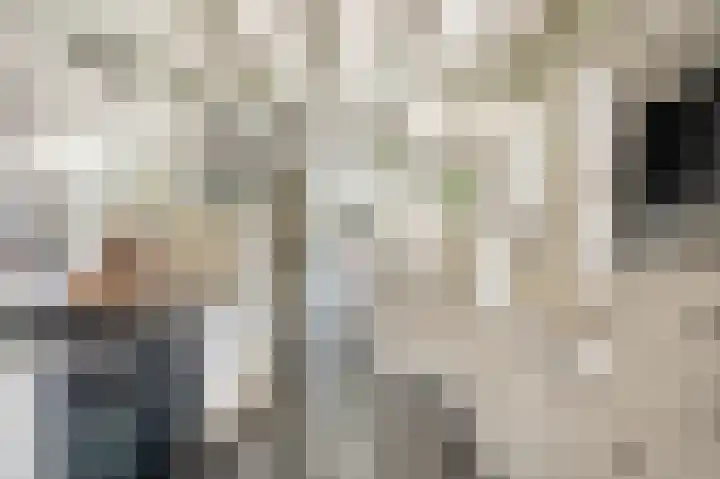 Wijbosscheweg 99 Schijndel thumbnail 18