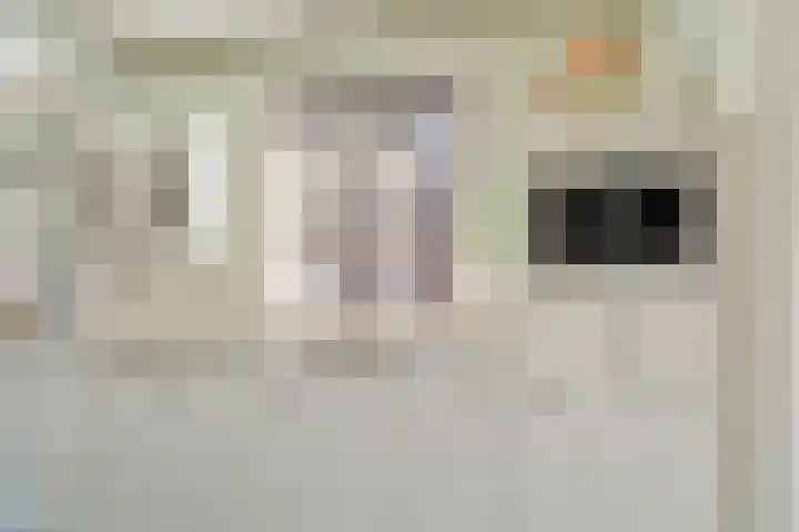 Wijbosscheweg 99 Schijndel thumbnail 19
