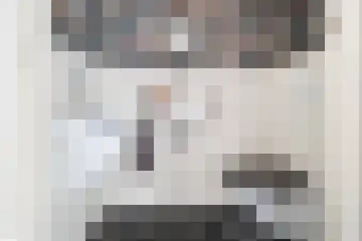 Wijbosscheweg 99 Schijndel thumbnail 21