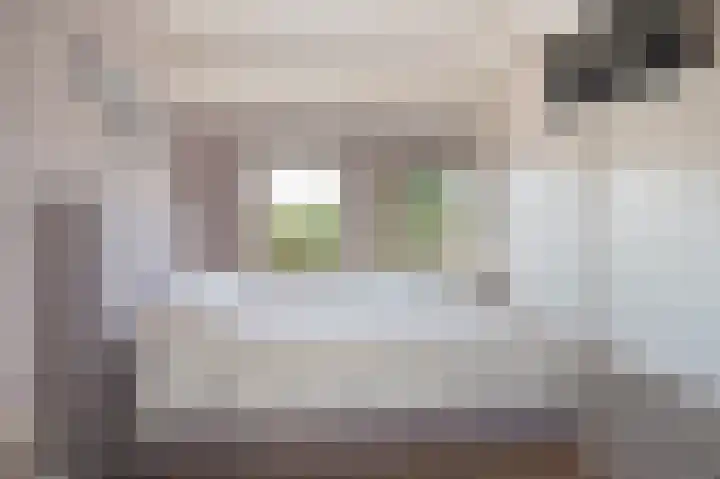 Wijbosscheweg 99 Schijndel thumbnail 24