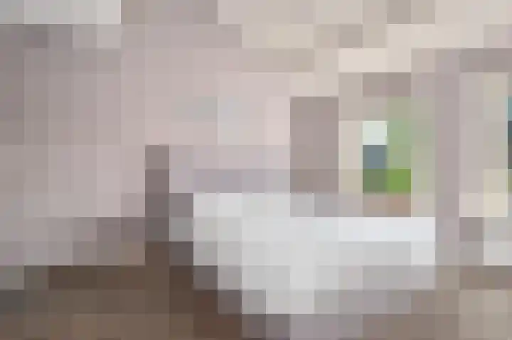 Wijbosscheweg 99 Schijndel thumbnail 25