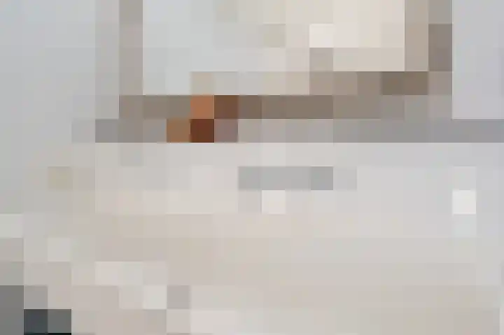 Wijbosscheweg 99 Schijndel thumbnail 33